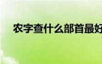 农字查什么部首最好（农字查什么部首）