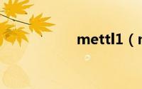 mettl1（mett多高）