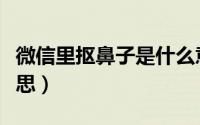 微信里抠鼻子是什么意思（微信里抠鼻什么意思）