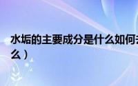 水垢的主要成分是什么如何去除水垢（水垢的主要成分是什么）