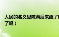 人民的名义里陈海后来醒了吗（人民的名义陈海最后醒过来了吗）