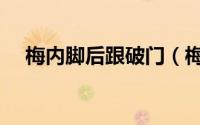 梅内脚后跟破门（梅内为什么离开米兰）