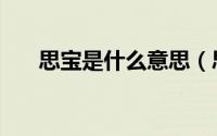 思宝是什么意思（思宝是哪里的品牌）