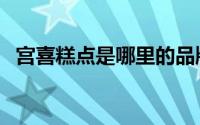 宫喜糕点是哪里的品牌（宫喜糕点代言人）
