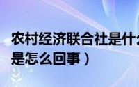农村经济联合社是什么单位（农村经济联合社是怎么回事）