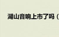 湖山音响上市了吗（湖山落地音箱好吗）