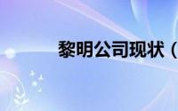 黎明公司现状（黎明公司全称）