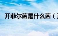 开菲尔菌是什么菌（开菲尔菌种的优缺点）