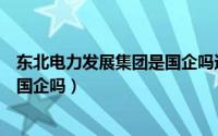 东北电力发展集团是国企吗还是民企（东北电力发展集团是国企吗）