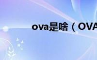 ova是啥（OVA是什么意思呐）
