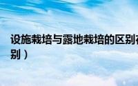设施栽培与露地栽培的区别在哪（设施栽培与露地栽培的区别）