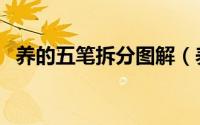 养的五笔拆分图解（养字用五笔怎么拆分）