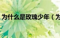 为什么是玫瑰少年（为什么高彦叫玫瑰少年）