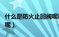 什么是防火止回阀呢视频（什么是防火止回阀呢）
