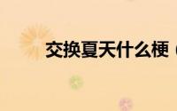 交换夏天什么梗（shutup什么梗）