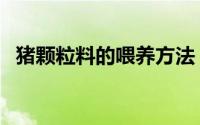 猪颗粒料的喂养方法（猪颗粒饲料配方表）
