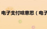 电子支付啥意思（电子支付凭证是什么意思）