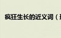 疯狂生长的近义词（形容疯狂生长的成语）