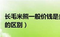 长毛米熊一般价钱是多少（长毛米熊和金丝熊的区别）