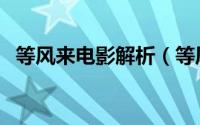 等风来电影解析（等风来电影哪年上映的）