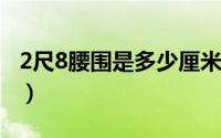 2尺8腰围是多少厘米长（2尺8腰围是多少cm）