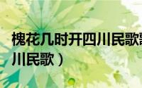 槐花几时开四川民歌歌词（槐花几时开原唱四川民歌）