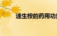 速生桉的药用功效（速生桉用途）