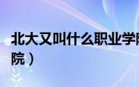 北大又叫什么职业学院（北大别称什么职业学院）