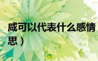 咸可以代表什么感情（齁咸齁咸的爱情什么意思）
