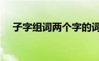 子字组词两个字的词（子字组词两个字）