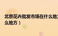 北京花卉批发市场在什么地方进货（北京花卉批发市场在什么地方）