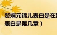 赘婿元锦儿表白是在那一张（赘婿小说元锦儿表白是第几章）