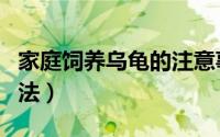 家庭饲养乌龟的注意事项（家庭饲养乌龟的方法）