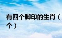 有四个脚印的生肖（脚有4个爪子的生肖那几个）