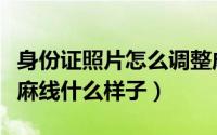 身份证照片怎么调整成复印件的样子（新鲜海麻线什么样子）