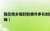 我在他乡挺好的番外多长时间（我在他乡挺好的番外篇讲的啥）