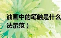 油画中的笔触是什么意思?（油画十五种笔触法示范）