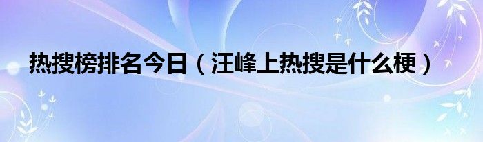 热搜榜排名今日（汪峰上热搜是什么梗）