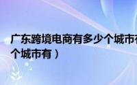 广东跨境电商有多少个城市有分公司（广东跨境电商有多少个城市有）