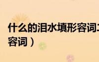 什么的泪水填形容词二年级（什么的泪水填形容词）