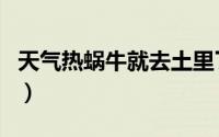 天气热蜗牛就去土里了吗（夏天蜗牛会热死吗）