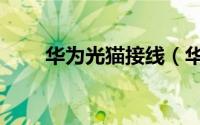 华为光猫接线（华为光猫接口说明）