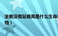坐着没有站着高是什么生肖动物（坐着没有站着高是什么动物）
