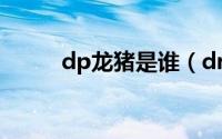 dp龙猪是谁（drx为什么叫龙珠）