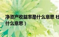 净资产收益率是什么意思 杜邦 马二由之（净资产收益率是什么意思）