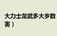 大力士龙武多大岁数（大力士龙武和岳洋谁厉害）