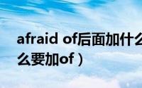 afraid of后面加什么形式（afraid后面为什么要加of）