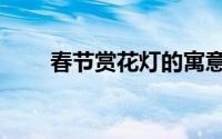 春节赏花灯的寓意（春节花灯寓意）