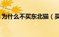 为什么不买东北猫（买猫为啥不能买东北的）