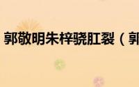 郭敬明朱梓骁肛裂（郭敬明和朱梓骁的恋情）